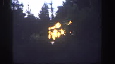 Disneyland California (1962): The Trees Are Burning On The Forest May Be Someone