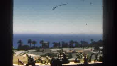 San Diego California (1962): Sunny Views Of Palm Trees And The Beach