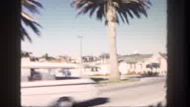 San Diego California (1962): View Of White Houses And Palm Trees On A Bright Sunny