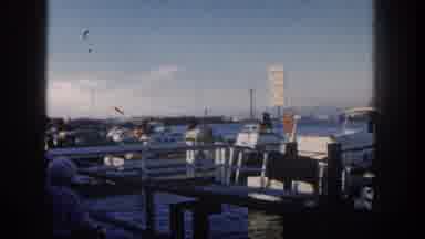 San Diego California (1962): People Are In The Water Place Very Well
