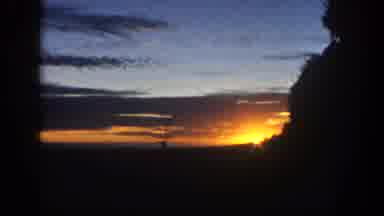 San Diego California (1962): Video Of A Beautiful Sunset With Some Trees As Frame
