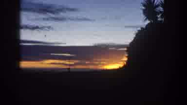 San Diego California (1962): Windy Sunset Or Sunrise Palm Trees Blowing In Wind