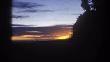 San Diego California (1962): Breezy Tropical Evening With A Beautiful Sunset