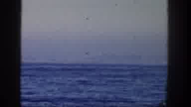 San Diego California (1962): This Place Is Look Like Very Beautiful And Colorful