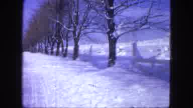 Proctor Minnesota (1963): Snowy Afternoon With Trees Full Of Snow And Truck Parked