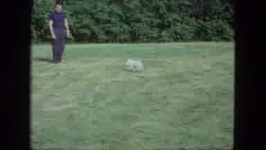 Saint Paul Minnesota (1963): Dog Owner Playing Throw And Catch With His Dog In A