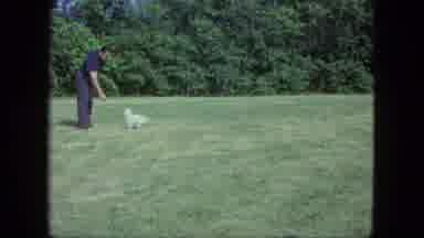 Saint Paul Minnesota (1963): Man Playing Fetch With A Small White Dog By Throwing