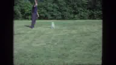 Saint Paul Minnesota (1963): Man Playing With His Dog On The Green Field Outside