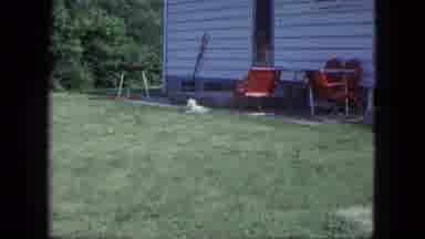 Saint Paul Minnesota (1963): Dog At Rest Next To Trailer Gets Up Suddenly To
