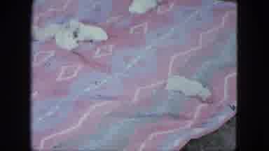 Saint Paul Minnesota (1963): Five New Puppies And Mother