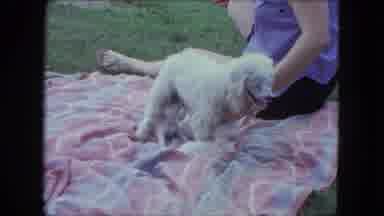 Saint Paul Minnesota (1963): The Pappy Are So Cute On The Gardan In The House