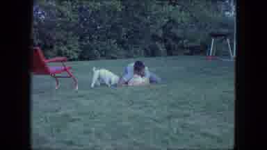 Saint Paul Minnesota (1963): Young Man Plays With Five White Puppies On A Green