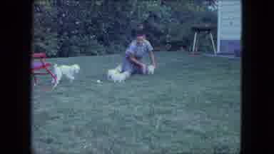 Saint Paul Minnesota (1963): A Person Playing In The Garden With His Pet Animal