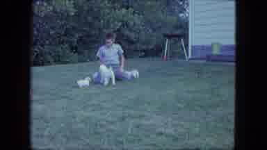 Saint Paul Minnesota (1963): Boy Is Playing With A Dog Dog Runs Off To The Left