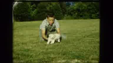 Saint Paul Minnesota (1963): Young Boy Playing With Puppies