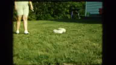 Saint Paul Minnesota (1963): Person Standing In Yard With Mama Dog And Her Two