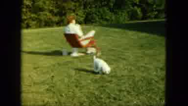 Saint Paul Minnesota (1963): The Puppies Are Playing In The Garden nIts Look Like
