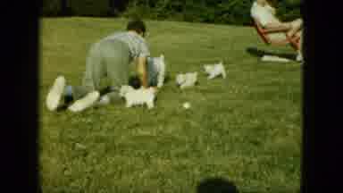 Saint Paul Minnesota (1963): Teenage Boy Crawling On Green Grass Playing With Cute