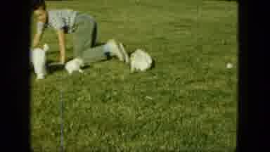 Saint Paul Minnesota (1963): Boy Crawls On All Fours On The Grass With White