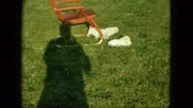 Saint Paul Minnesota (1963): Four White Dogs Play Near Red Chair On A Sunny Day