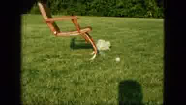Saint Paul Minnesota (1963): House Garden And Dogs Playing With The Ball In The