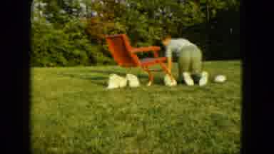 Saint Paul Minnesota (1963): Summer Boy Garden Puppies Playing Lawn Chair Grass