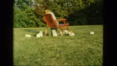 Saint Paul Minnesota (1963): Man With Dog And Lawnmower And Child With Stick