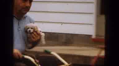 Saint Paul Minnesota (1963): A Man Riding A Lawnmower In A Blue Shirt Carry And