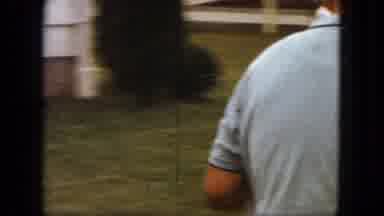 Saint Paul Minnesota (1963): The Person Is Driving In The Garden They Enjoy