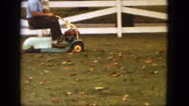 Saint Paul Minnesota (1963): Holding Dog While Cutting Grass Old Fashioned