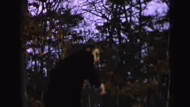 Camden New Jersey (1964): A Man Smoking In Forest In The Snow And Playing With