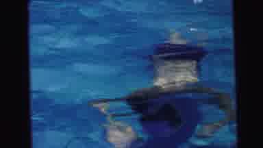 Camden New Jersey (1964): The Small Boys Were Playing In The Swimming Pool In
