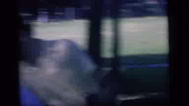Camden New Jersey (1964): Family Having A Get Together At A Beautiful Park On A