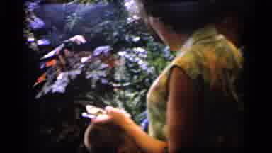 Camden New Jersey (1964): Several Women Line Up To Toss Something Into The Water