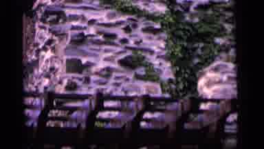 Camden New Jersey (1964): Lot Of Artwork Beautiful Flowers And Art Of The Stones