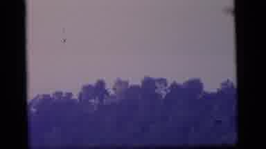 Camden New Jersey (1964): Handheld Shot Of Trees And Sky With Blue Purple Filter