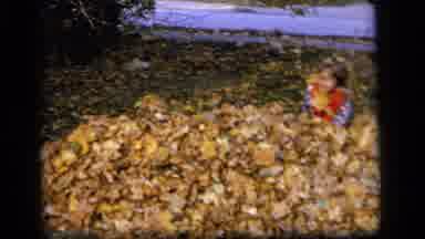 Camden New Jersey US (1964): The Children Were Playing The Dry Leaves Because Of