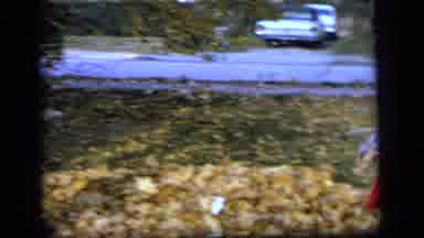 Camden New Jersey US (1964): Fun In The Leaves