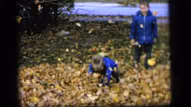Camden New Jersey US (1964): Young Boy Playing In A Huge Pile Of Leaves