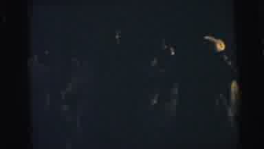 Camden New Jersey USA (1964): Couples Dressed Up Dancing Together At An Evening