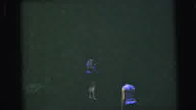 CAMDEN NEW JERSEY USA-1964: Old Video Of Women In A Forest