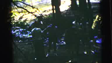 Camden New Jersey USA (1964): Family Reunion Picnic Games And Play