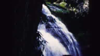 Camden New Jersey USA (1964): People Looking At Small Waterfall On A Bright Sunny