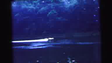 Camden New Jersey USA (1964): Boat Goes Across The Water Boy Pets His Horse