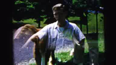 Camden New Jersey USA (1964): The Joy Of Horses