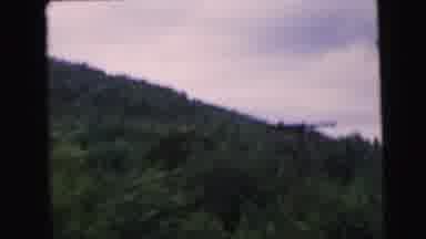 Camden New Jersey USA (1964): Driving Down A Two Lane Road With Trees On Both
