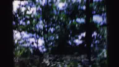 Camden New Jersey USA (1964): Trees And Yellow Arrow Shaped Sign As Filmed From