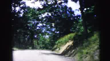 Camden New Jersey USA (1964): View From A Car Driving Of A Small Road With Trees