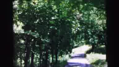 Camden New Jersey USA (1964): People Are Travelling In The Forest They Are