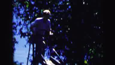 Camden New Jersey USA (1964): Little Boy Going Down A Slide On A Sunny Day